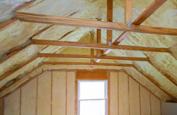 Insulation Repair Services in Browns Lake, WI